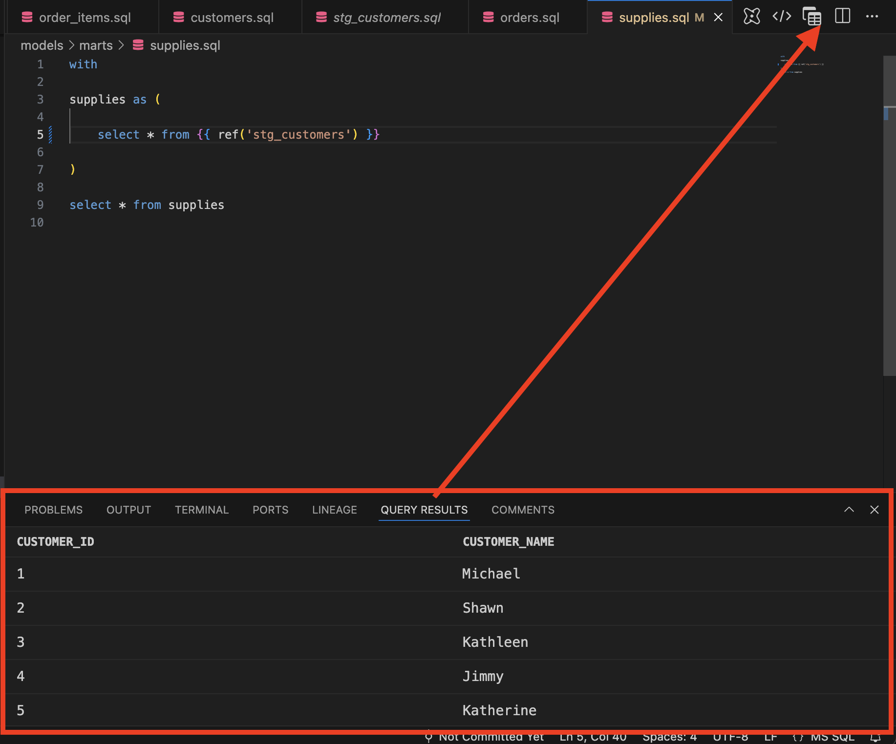 Preview model query results.